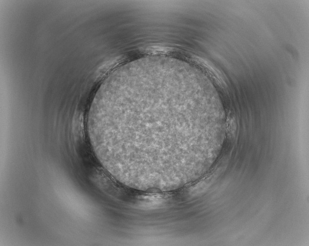 X0000115440381200912020950