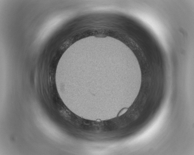 X0000115440382200912020950