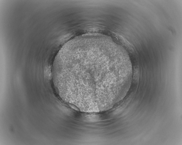 X0000115440383200912020950