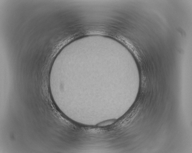 X0000115440385200912020949