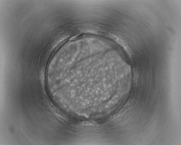 X0000115440386200912020949