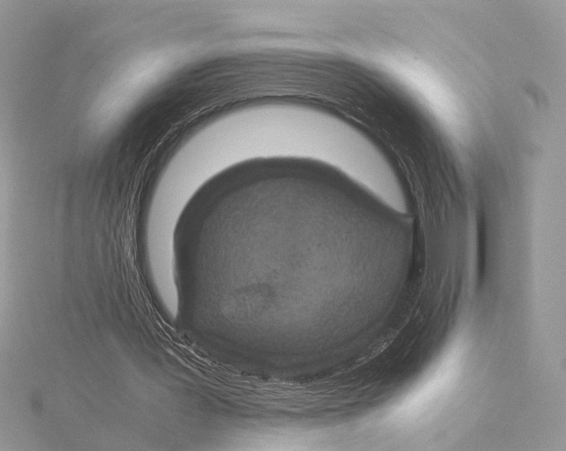 X0000115440387200912020949