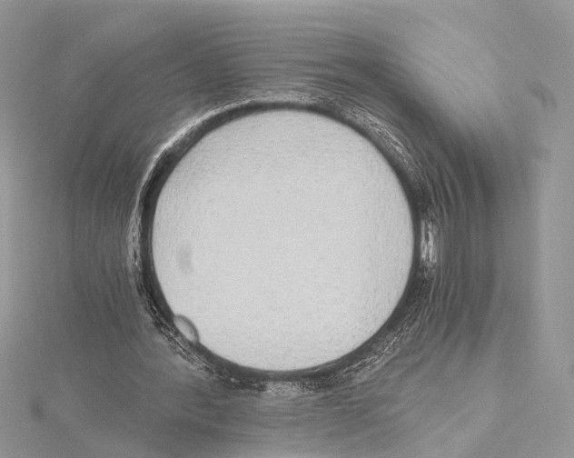 X0000115440388200912020949