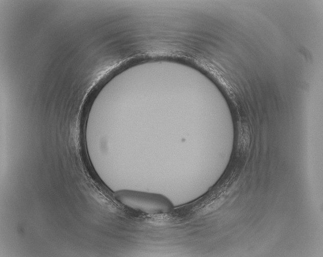 X0000115440391200912020949