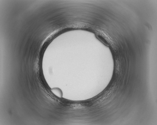 X0000115440392200912020949