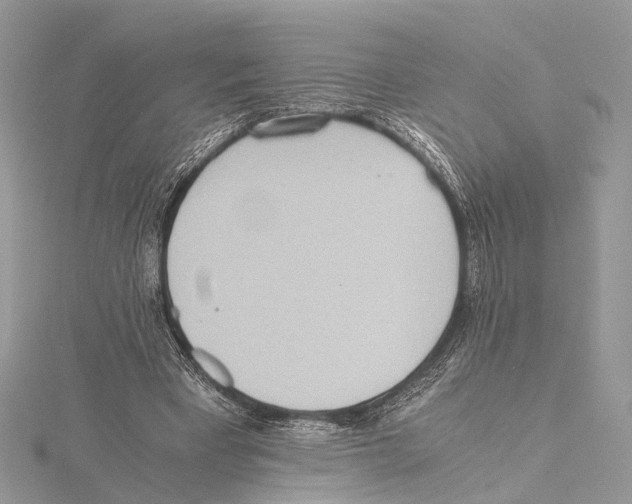 X0000115440393200912020949