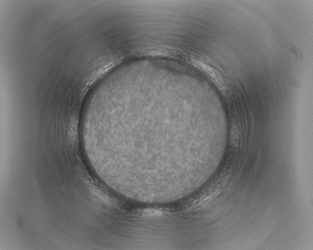 X0000115440394200912020949