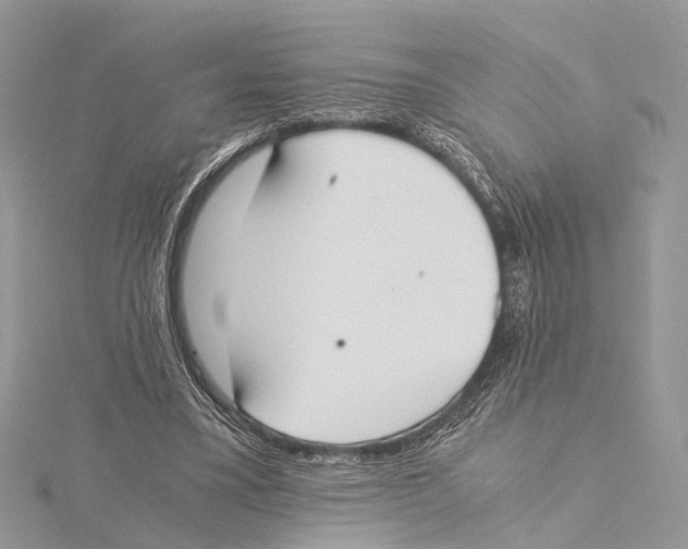 X0000115440395200912020949