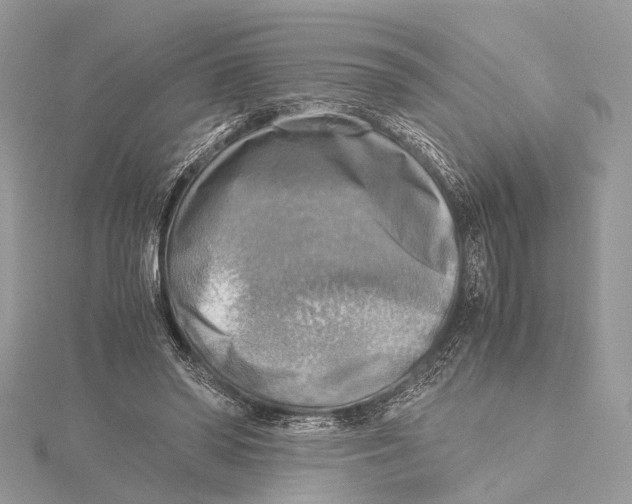 X0000115440398200912020949