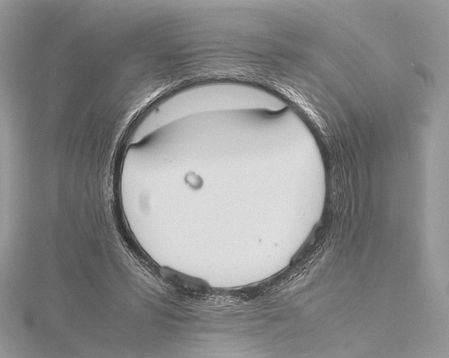 X0000115440399200912020949