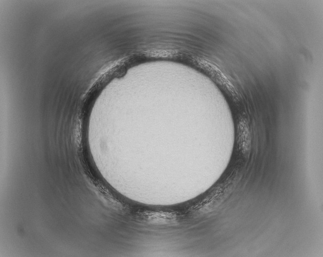 X0000115440400200912020949