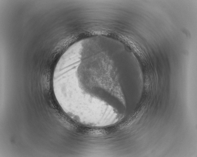 X0000115440402200912020949