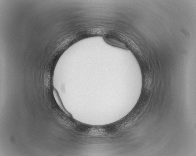 X0000115440403200912020949