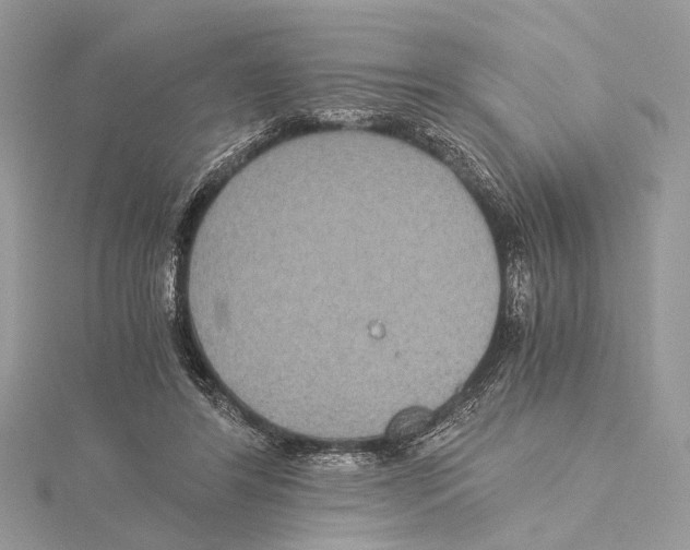 X0000115440404200912020949