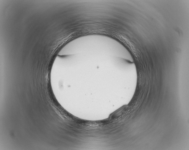 X0000115440405200912020949