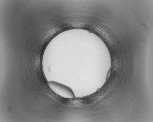 X0000115440407200912020949