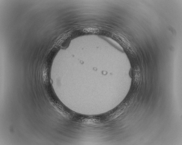 X0000115440408200912020949