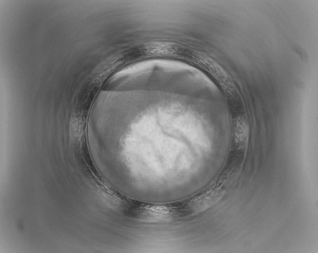 X0000115440409200912020949