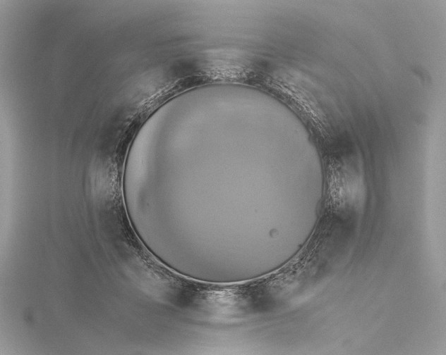 X0000115440411200912020949