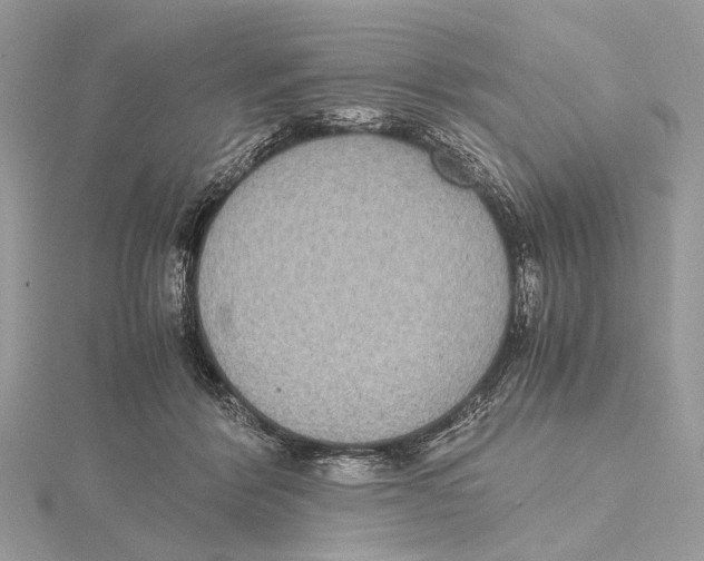 X0000115440412200912020949