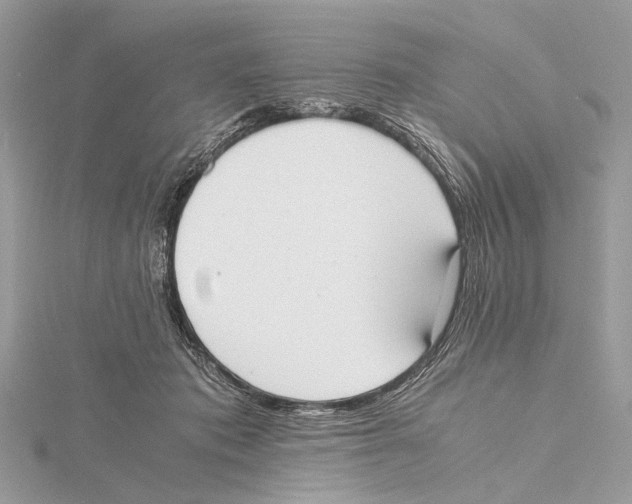 X0000115440413200912020949