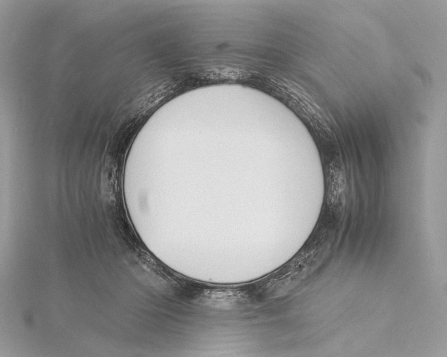 X0000115440414200912020949