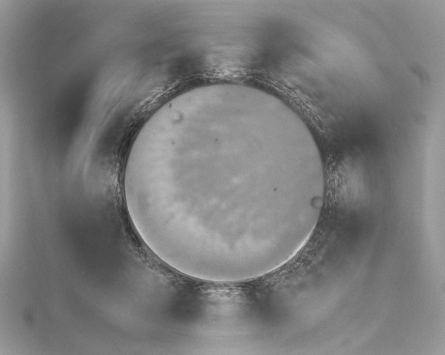 X0000115440415200912020949