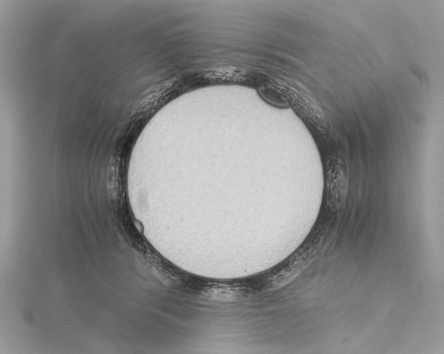 X0000115440416200912020949