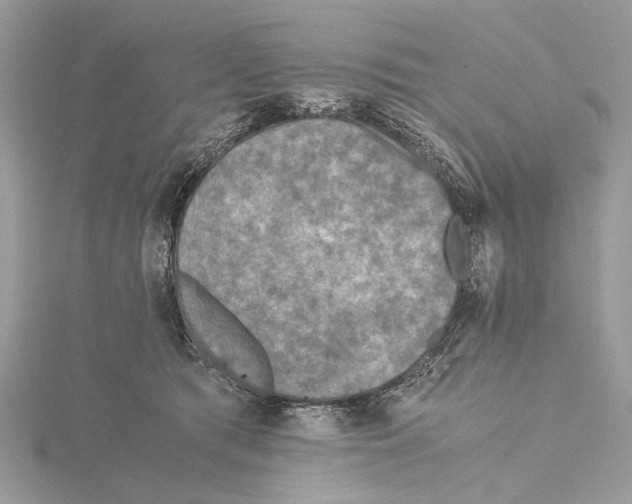 X0000115440417200912020949