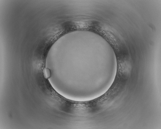 X0000115440419200912020949