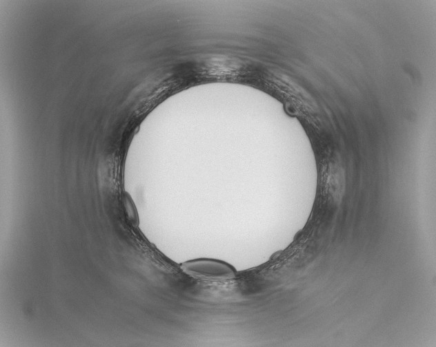 X0000115440421200912020949