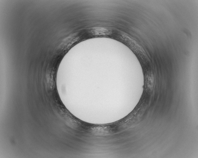 X0000115440422200912020949