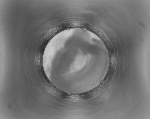 X0000115440423200912020949