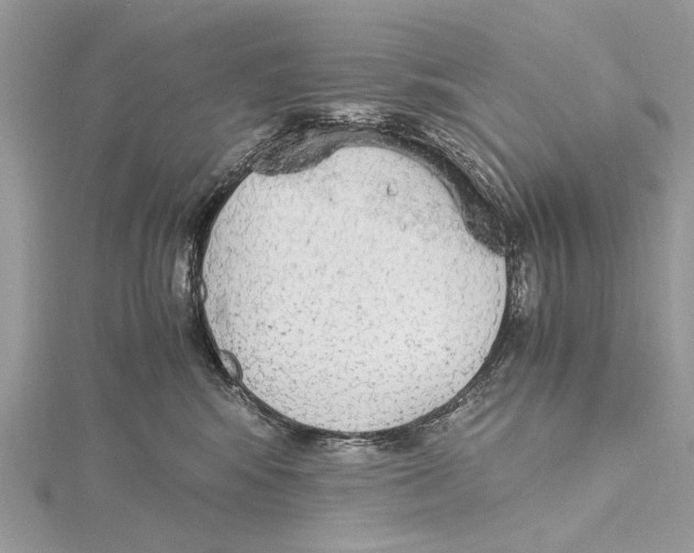 X0000115440424200912020949