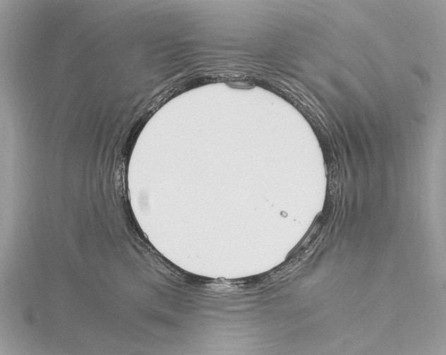 X0000115440425200912020949