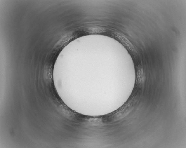 X0000115440426200912020949