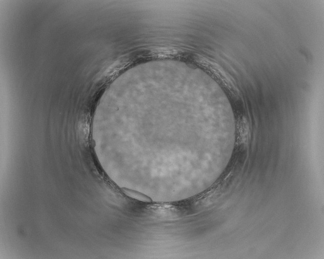 X0000115440427200912020949