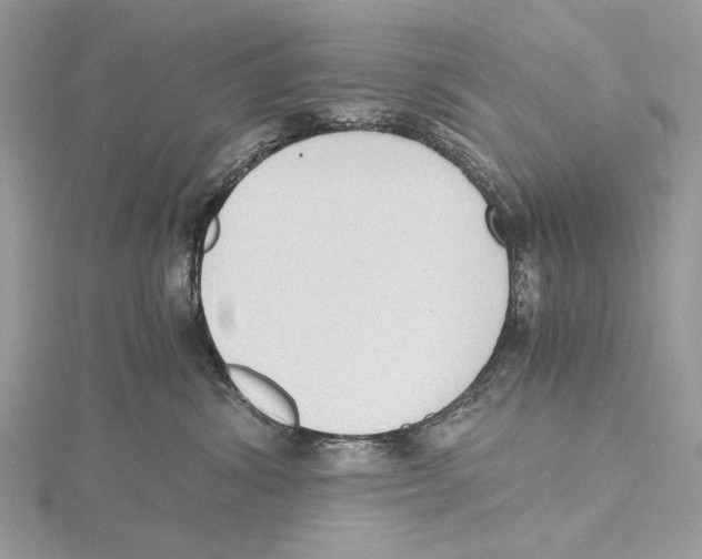 X0000115440428200912020949