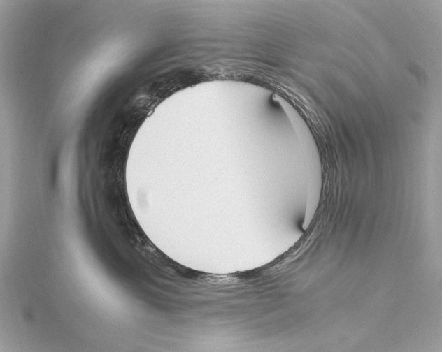 X0000115440429200912020949