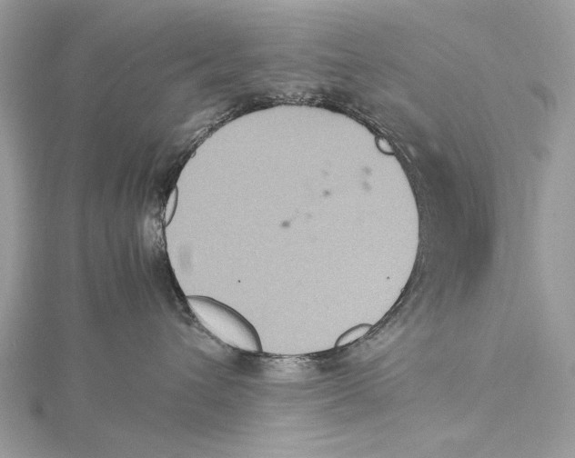 X0000115440432200912020949