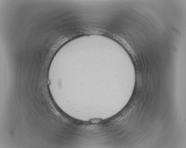 X0000115440433200912020948