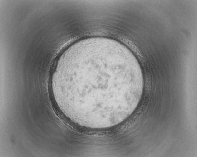 X0000115440434200912020948