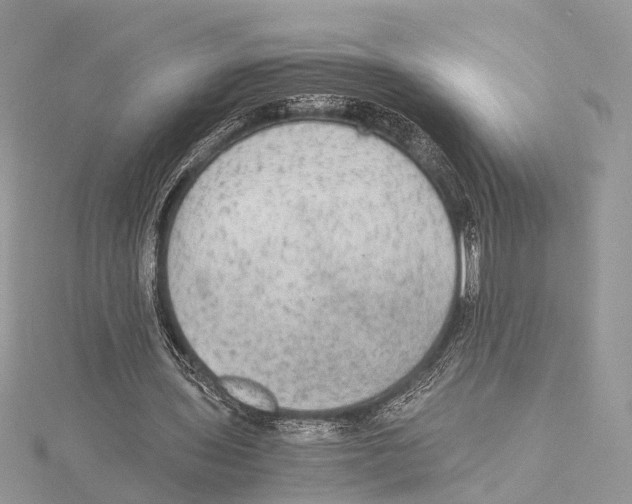 X0000115440435200912020948