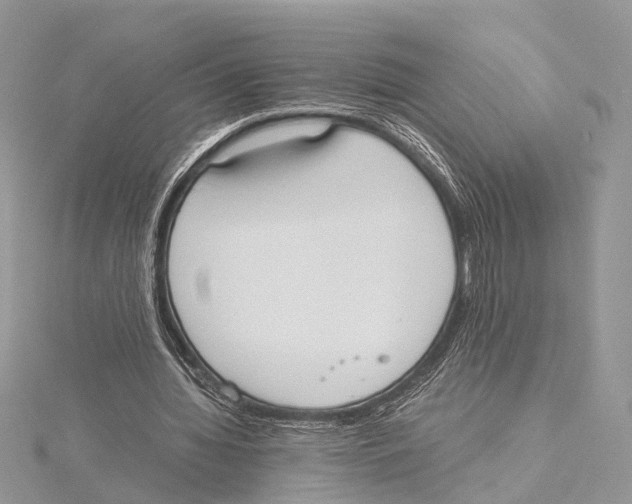 X0000115440436200912020948