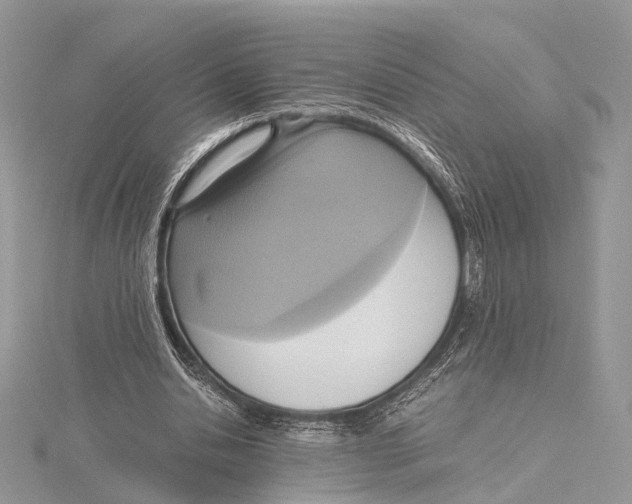 X0000115440438200912020948