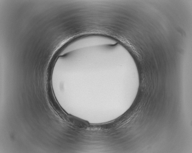 X0000115440440200912020948