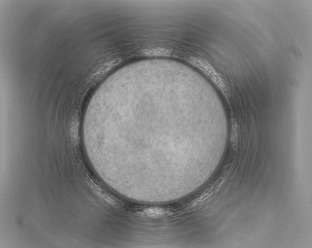 X0000115440441200912020948