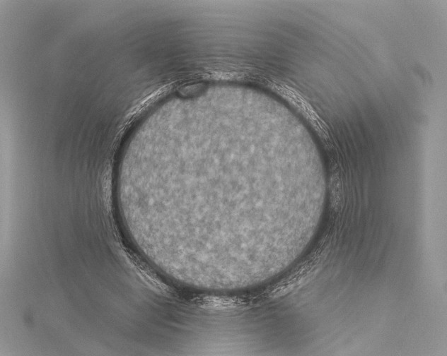 X0000115440442200912020948