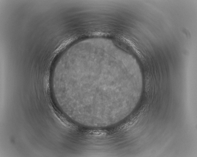 X0000115440443200912020948