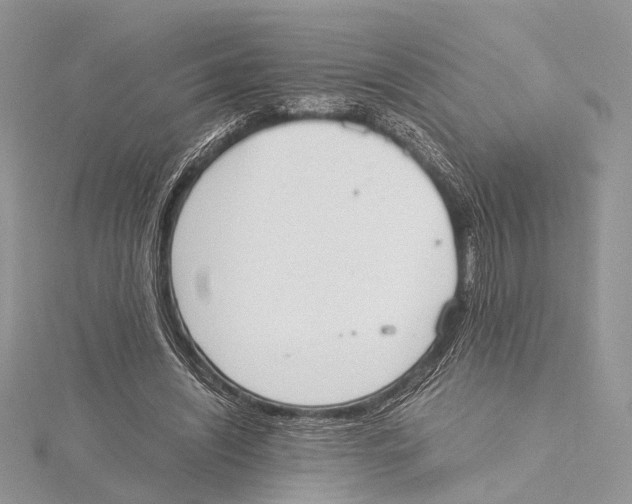 X0000115440444200912020948